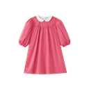 Embroidered Collar High Yoke Dress