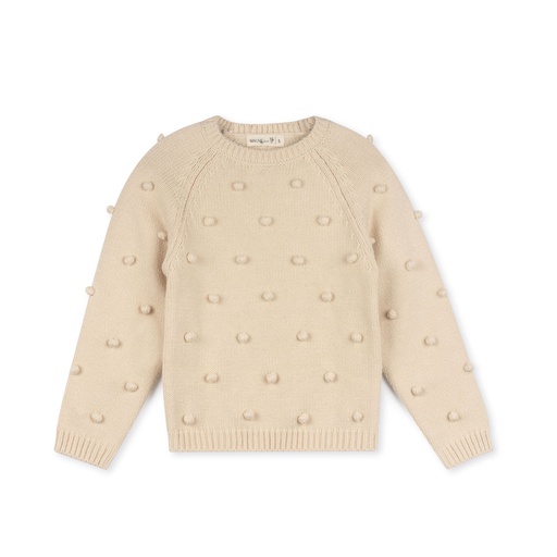 [F24-MNTU201-CR] Pom Pom Crew Neck Sweater