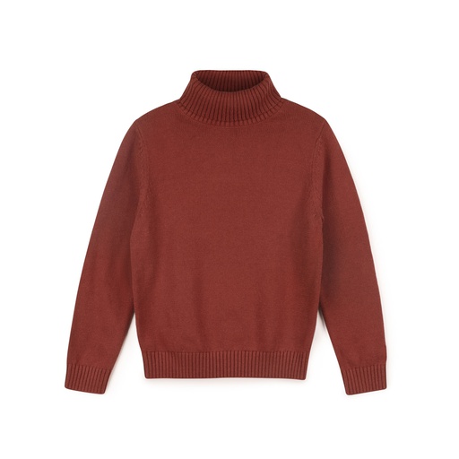 [F24-MNTU205-CL] Turtleneck Sweater