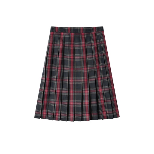 [F25-WS403-BP] PLAID PLEATED SKIRT