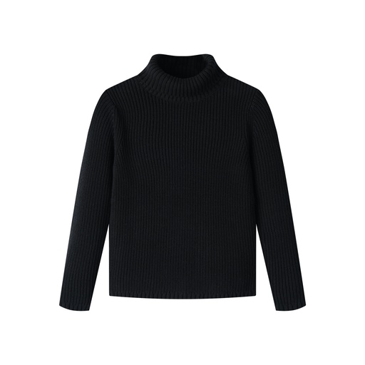 [F25-MSW402-BK] TURTLENECK SWEATER