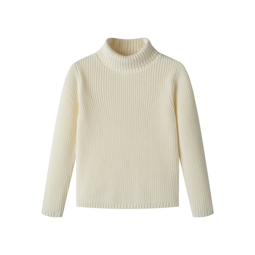 [F25-MSW402-CR] TURTLENECK SWEATER